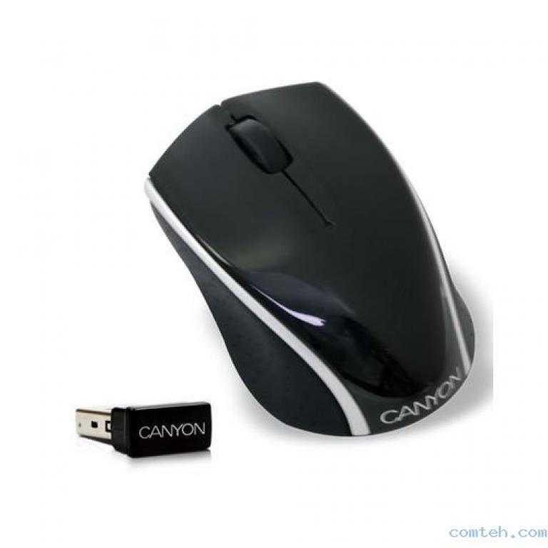 Беспроводные мыши canyon. Мышь Canyon CNR-msl02 Black-Silver USB. Мышь Canyon CNR-msoptw5 Black USB. Canyon CNR-mslw0. Мышь Canyon CNR-msd01bl Black-Blue USB.