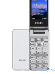 Мобильный телефон Philips Xenium E2601 Silver (CTE2601SV)