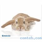 Коврик для мыши Defender Silk Кролик (50706***); ткань + резиновая основа; 230 х 190 х 1.6 мм; пакет; рисунок