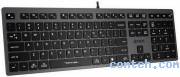 Клавиатура проводная A4Tech Fstyler FX50 (1624628***); USB; мембранная; 12 (+FN); Slim; серая